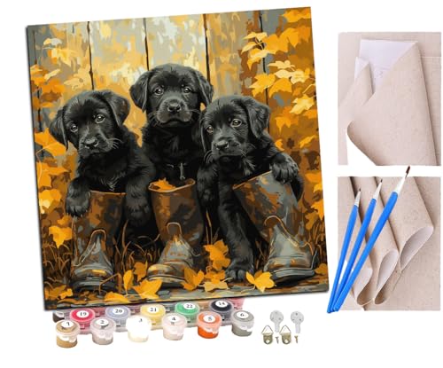 SENDJJ Malen Nach Zahlen Erwachsene Drei süße Hunde in schwarzen Stiefeln (8) DIY Handgemalt Ölgemälde Leinwand Kits Mit Pinsels und Acrylfarbe Als Geschenke und Heimdekoration Ohne Rahmen 40 x 40 cm von SENDJJ