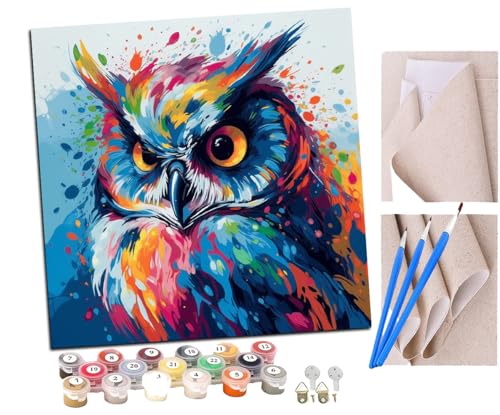 SENDJJ Malen Nach Zahlen Erwachsene Eule buntes Liebessymbol (2) DIY Handgemalt Ölgemälde Leinwand Kits Mit Pinsels und Acrylfarbe Als Geschenke und Heimdekoration Ohne Rahmen 40 x 40 cm von SENDJJ