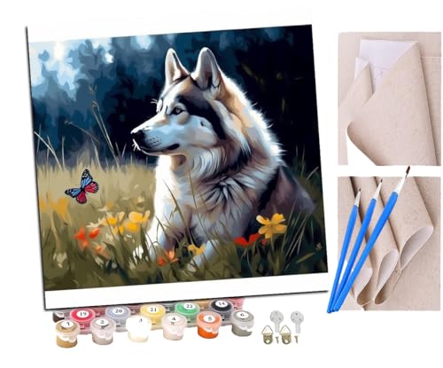 SENDJJ Malen Nach Zahlen Erwachsene Husky und Schmetterling (1) Paint by Numbers diy GemäLde Kit mit Pinsel und Acrylfarbe Als Geschenk für Wanddeko Groß 40x40cm von SENDJJ