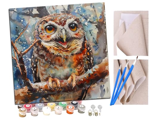 SENDJJ Malen Nach Zahlen Erwachsene Lächelndes Eulen-Traumjagd-Netzwerk (11) Paint by Numbers diy GemäLde Kit mit Pinsel und Acrylfarbe Als Geschenk für Wanddeko Groß 40x40cm von SENDJJ