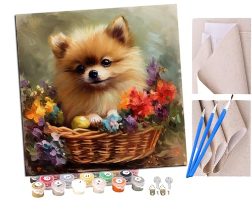 SENDJJ Malen Nach Zahlen Erwachsene Pommerscher Blumenkorb (2) DIY Handgemalt Ölgemälde Leinwand Kits Mit Pinsels und Acrylfarbe Als Geschenke und Heimdekoration Ohne Rahmen 40 x 40 cm von SENDJJ