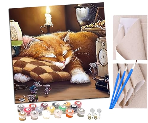 SENDJJ Malen Nach Zahlen Erwachsene Schlafende Katze Maus Tier DIY Handgemalt Ölgemälde Leinwand Kits Mit Pinsels und Acrylfarbe Als Geschenke und Heimdekoration Ohne Rahmen 40 x 40 cm von SENDJJ