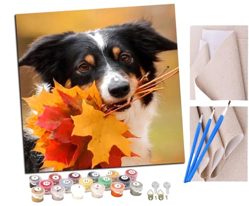 SENDJJ Malen Nach Zahlen Erwachsene Tier Hund(10) DIY Handgemalt Ölgemälde Leinwand Kits Mit Pinsels und Acrylfarbe Als Geschenke und Heimdekoration Ohne Rahmen 40 x 40 cm von SENDJJ