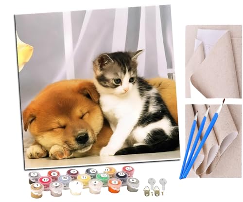 SENDJJ Malen Nach Zahlen Erwachsene Tier Hund schlafende Katze Bastelset Erwachsene Gemälde Leinwand 40x40 cm Mit Farbe und Pinsel - Geschenke und Maldekorationen von SENDJJ