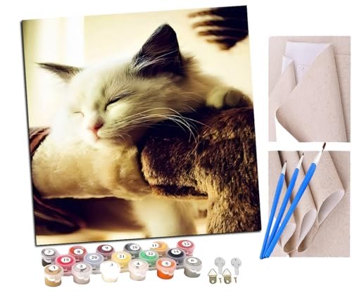 SENDJJ Malen Nach Zahlen Erwachsene faule Katze süßes Tier Bastelset Erwachsene Gemälde Leinwand 40x40 cm Mit Farbe und Pinsel - Geschenke und Maldekorationen von SENDJJ