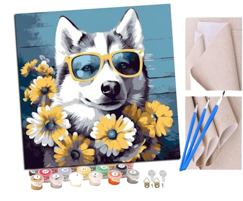 SENDJJ Malen nach Zahlen Baby-Husky trägt Blume (2) Kits für Anfänger Erwachsene DIY Art Decor Handgemalte Malerei nach Zahlen Kreatives Geschenk Home Decoration 16x16 Zoll von SENDJJ