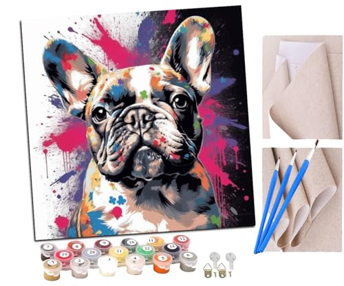 SENDJJ Malen nach Zahlen Französische Bulldogge mit Rose (7) Kits für Anfänger Erwachsene DIY Art Decor Handgemalte Malerei nach Zahlen Kreatives Geschenk Home Decoration 16x16 Zoll von SENDJJ