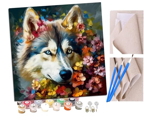 SENDJJ Malen nach Zahlen Kits Erwachsene und Kinder Blumenhusky (2) DIY Ölgemälde Digitale Leinwand Wandkunst Home Decoration - 40x40CM von SENDJJ