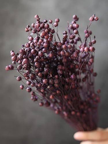 25 Stücke Bunte Trockenblumen Leinen Grassträuße Echte Blume für Heimdekoration Natürliches Material Hochzeitsdeko DIY Epoxidharz von SERVEL