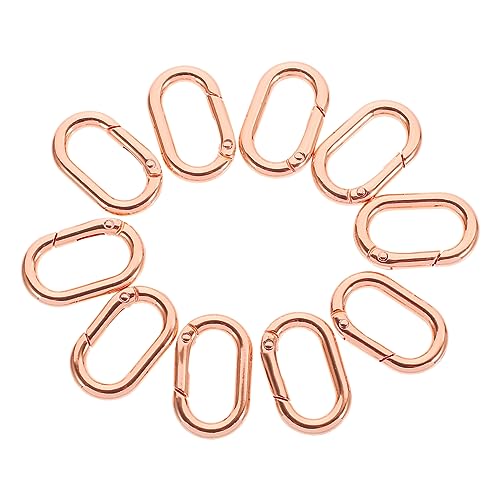 SEWACC 10 Stück Ovaler Federring Karabinerhaken Federbelasteter Metallverschluss für Schlüsselanhänger Kleine Robuste Schnappverbindung für Taschen und Schmuck Korrosionsbeständig Leicht von SEWACC