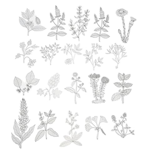 SEWACC 120 Stück Retro Pflanzen Aufkleber Selbstklebend DIY Scrapbooking Sticker für Tagebücher Karten Geschenkdekoration mit Klarem Japanpapier Einfache Anwendung Bunte Blumenmotive SEWACC 120 Stück Retro Pflanzen Aufkleber Selbstklebend DIY Scrapbooking Sticker für Tagebücher Karten Geschenkdekoration mit Klarem Japanpapier Einfache Anwendung Bunte Blumenmotive von SEWACC