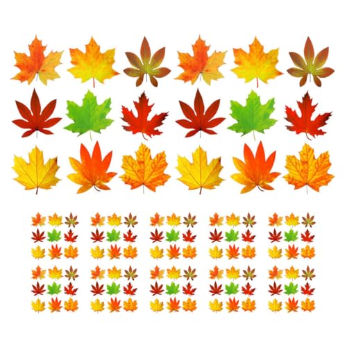 SEWACC 135 Stück Bunte Herbst Dekorationen für Schule Büro und Zuhause Thanksgiving Wand und Tischdeko für Diy Projekte und von SEWACC