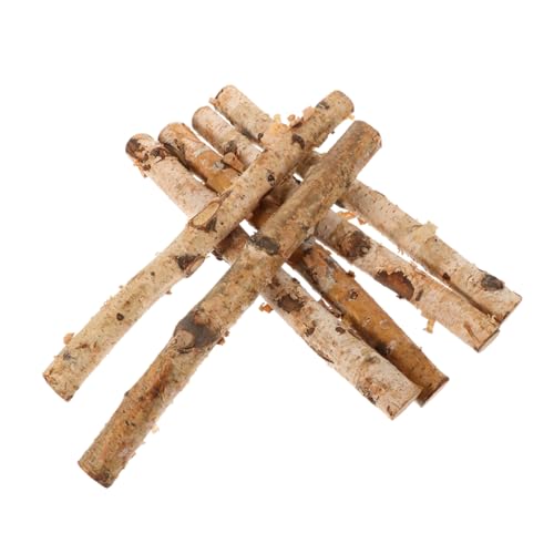 SEWACC 6 Stück Birkenscheite Unbehandelte Holzstäbe für Diy Projekte Vasen Dekoration Naturholz für Rustikale Arrangements Bastelbedarf für Kreative Ideen von SEWACC