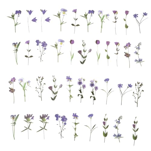 SEWACC 80 Blatt Teiliges Pet Blumen Sticker Selbstklebend Langlebig Transparent für DIY Scrapbooking Tagebücher Kalender Notizbücher Kreative Bastelprojekte Sichere Anwendung für SEWACC 80 Blatt Teiliges Pet Blumen Sticker Selbstklebend Langlebig Transparent für DIY Scrapbooking Tagebücher Kalender Notizbücher Kreative Bastelprojekte Sichere Anwendung für von SEWACC
