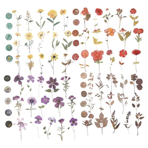 SEWACC Scrapbooking Sticker mit Getrockneten Blumen Teiliges DIY Bastelpapier Kit Vintage Aufkleber für Fotoalbum Tagebuch und Kreative Dekoration Botanische Muster in Rosennebel SEWACC Scrapbooking Sticker mit Getrockneten Blumen Teiliges DIY Bastelpapier Kit Vintage Aufkleber für Fotoalbum Tagebuch und Kreative Dekoration Botanische Muster in Rosennebel von SEWACC