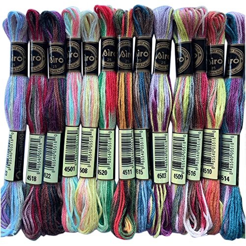 24 Skeins Magical Color Variations Floss Pack Six Strand Embroidery Variegated Cross Stitch Threads von SEWCRANE