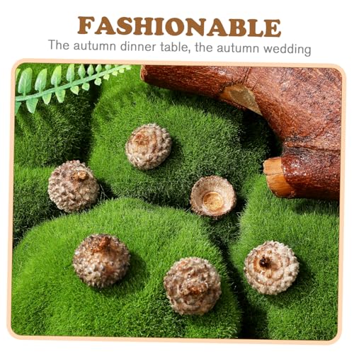 SEWOART 50 Stück Natürliche Eichelhülsen Deko Bastelset Umweltfreundliche Acorn Shells als Streudeko und Ornament für Herbst Weihnachten DIY Hochzeitsdeko und Tischdekoration von SEWOART