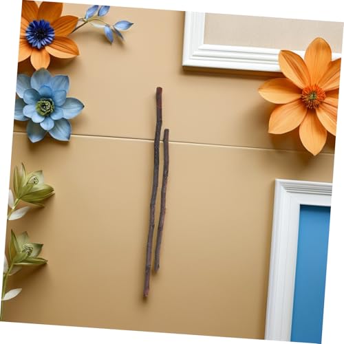 SEWOART 60 Stück Handpolierte Holzstäbchen Natürliche Muster Splintfrei für Diy Bastelprojekte Foto Requisiten Kreative Wohnraumdekoration Geschenkidee SEWOART 60 Stück Handpolierte Holzstäbchen Natürliche Muster Splintfrei für Diy Bastelprojekte Foto Requisiten Kreative Wohnraumdekoration Geschenkidee von SEWOART