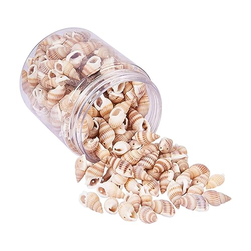 SEWOART Muschel zur Dekoration hawaii party dekoration home decor wohnungseinrichtung home dekoration Dekorationen für Aquarien Meerjungfrau Vase Muscheln zum Basteln Mini-Muscheln basteln von SEWOART