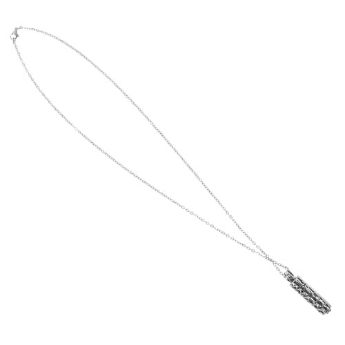SEWOART Urne Anhänger Halskette haustiere pet memorial anhänger souvenir Schild Männer Einäscherungskette für Asche Halskette für die Asche eines geliebten Menschen Rostfreier Stahl Silver von SEWOART