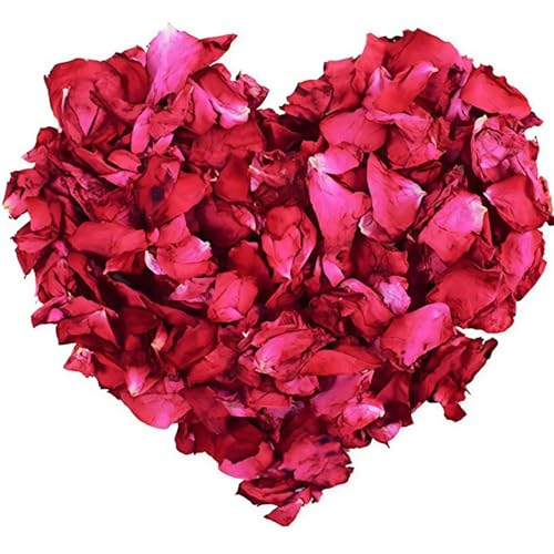 SGERUFZ 60g Blütenblätter Natürliche Getrocknete Rosenblätter Konfetti Rose für Geburtstag Vorschlag Party Feiern umweltfreundlich und Abbaubar zur Teezubereitung und zum Baden verwendet SGERUFZ 60g Blütenblätter Natürliche Getrocknete Rosenblätter Konfetti Rose für Geburtstag Vorschlag Party Feiern umweltfreundlich und Abbaubar zur Teezubereitung und zum Baden verwendet von SGERUFZ