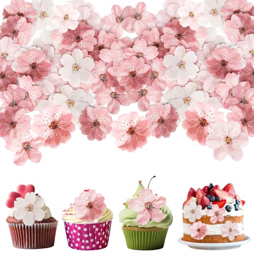 SGQTGIMU 50 Stück Essbare Sakura Tortendeko, Kirschblüten aus Oblatenpapier, Essbare Blumen Cupcake Topper, Kuchen Deko für Hochzeit, Geburtstag, Babyparty, Frühlingstorte SGQTGIMU 50 Stück Essbare Sakura Tortendeko, Kirschblüten aus Oblatenpapier, Essbare Blumen Cupcake Topper, Kuchen Deko für Hochzeit, Geburtstag, Babyparty, Frühlingstorte von SGQTGIMU