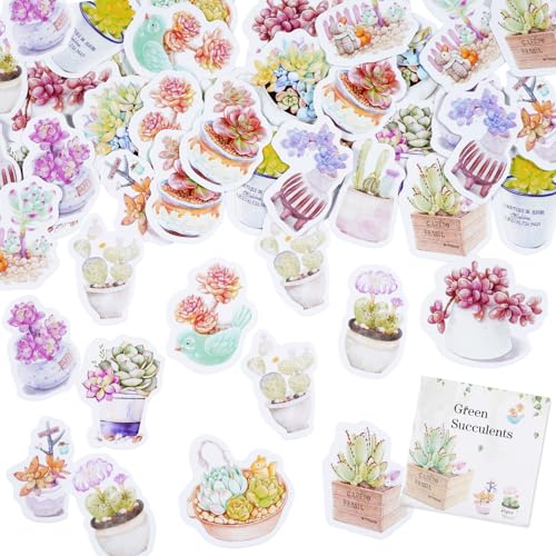 45 Stücke Succulent Pflanze Aufkleber, Aquarell Kaktus Aufkleber für Scrapbooking, DIY Handwerk, Laptops, Junk Journal, Geschenke für Erwachsene, Kind von SHANFAA