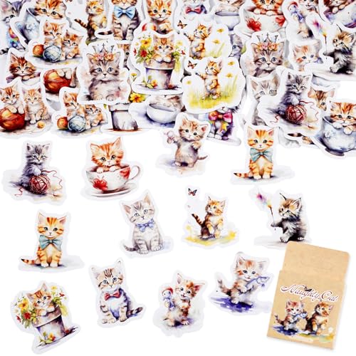 46pcs Aufkleber für Scrapbooking Kleine Scrapbook Aufkleber Set, Journaling Bullet Junk Journal Supplies, Planer, Kid DIY Art Crafts, Laptop, Koffer (Stil-8) 46pcs Aufkleber für Scrapbooking Kleine Scrapbook Aufkleber Set, Journaling Bullet Junk Journal Supplies, Planer, Kid DIY Art Crafts, Laptop, Koffer (Stil-8) von SHANFAA