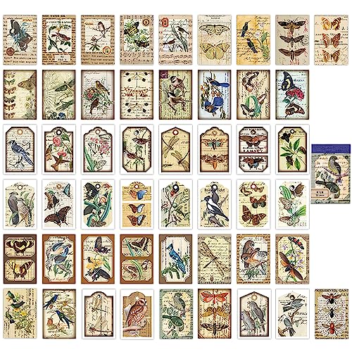 50 Stück Washi Sticker für Scrapbook, Vintage Vogel Tier Aufkleber DIY Decorative Aufkleber for Journaling Zubehör,Scrapbooking Zubehör,Fotoalbum,Tagebuch Planer Album,Laptop,Kartenherstellung 50 Stück Washi Sticker für Scrapbook, Vintage Vogel Tier Aufkleber DIY Decorative Aufkleber for Journaling Zubehör,Scrapbooking Zubehör,Fotoalbum,Tagebuch Planer Album,Laptop,Kartenherstellung von SHANFAA