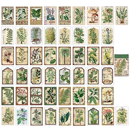 50-Stücke Washi Aufkleber, Vintage Pflanze Stickers für Journaling, DIY Dekorative Papier für Journal Art Scrapbooking Tagebuch Karte Handwerk Geschenk Album Notizbuch 50-Stücke Washi Aufkleber, Vintage Pflanze Stickers für Journaling, DIY Dekorative Papier für Journal Art Scrapbooking Tagebuch Karte Handwerk Geschenk Album Notizbuch von SHANFAA