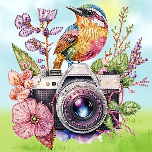SHEGZHUC 30x30cm Diamond Painting Vogel Blumen Kolibri Kamera Diamond Painting Strass Special Diamond Painting Spezialsteine Diamant Malerei Kunst Stickerei Kreuzstich Bilder Geschenk Wanddekoration von SHEGZHUC