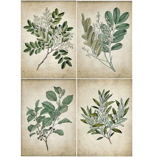 SHEGZHUC 4 Pack Diamond Painting Pflanzen Grün Vintage 30x40cm Diamant Painting Bilder Pflanzen Diamond Painting Blätter Retro Diamant Malerei Kunst Stickerei Kreuzstich Bilder Geschenk Wanddekoration SHEGZHUC 4 Pack Diamond Painting Pflanzen Grün Vintage 30x40cm Diamant Painting Bilder Pflanzen Diamond Painting Blätter Retro Diamant Malerei Kunst Stickerei Kreuzstich Bilder Geschenk Wanddekoration von SHEGZHUC