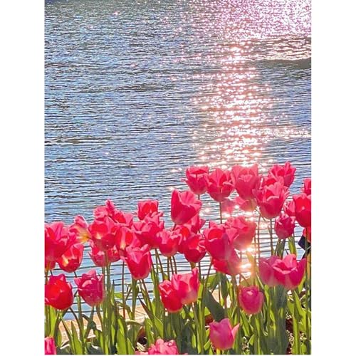 SHEGZHUC 40x50cm Diamond Painting Blumen Tulpen am Meer Diamond Painting Glitzer Bilder Diamond Painting Landschaft Mosaik Diamant Malerei Kunst Stickerei Kreuzstich Bilder Geschenk Wanddekoration von SHEGZHUC