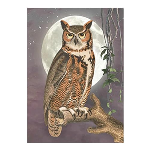 SHEGZHUC Diamond Painting Eule Mond Blätter 30x40cm Diamant Painting Bilder Eule Diamond Painting Bilder Tiere Diamant Malerei Kunst Stickerei Kreuzstich Bilder Geschenk Wanddekoration SHEGZHUC Diamond Painting Eule Mond Blätter 30x40cm Diamant Painting Bilder Eule Diamond Painting Bilder Tiere Diamant Malerei Kunst Stickerei Kreuzstich Bilder Geschenk Wanddekoration von SHEGZHUC