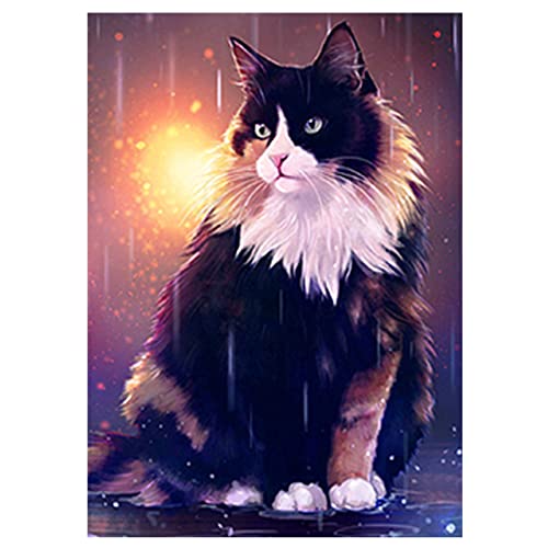 SHEGZHUC Diamond Painting Katzen Neuheiten 30x40cm Diamant Painting Bilder Katze Diamond Painting Schwarze Katze Diamond Painting Leuchtend im Dunkeln Katze Diamond Painting Anfänger Perlenbild kinder von SHEGZHUC