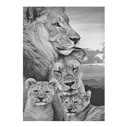 SHEGZHUC Diamond Painting Löwe und Löwin 40x50cm Diamond Painting Löwe Schwarz Weiß Malen nach Zahlen Löwe 5D Diamant Painting Löwe Diamond Painting Tiere Perlenbilder Erwachsene Tiere Craft Buddy von SHEGZHUC