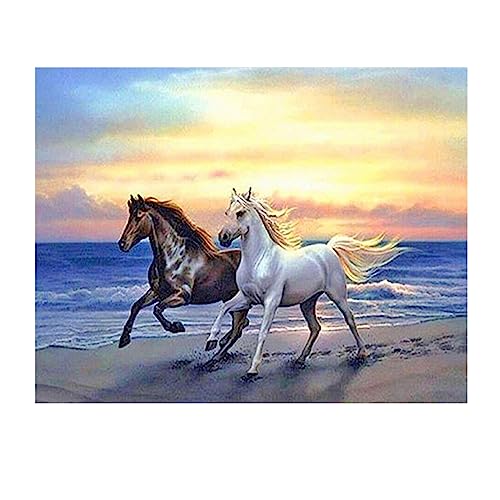 SHEGZHUC Diamond Painting Pferde 50x40cm Diamond Painting Eckige Steine Landschaft Strand Meer Diamond Painting Springendes Pferd Square Drill Diamond Painting Sonnenuntergang am Meer Craft Buddy von SHEGZHUC