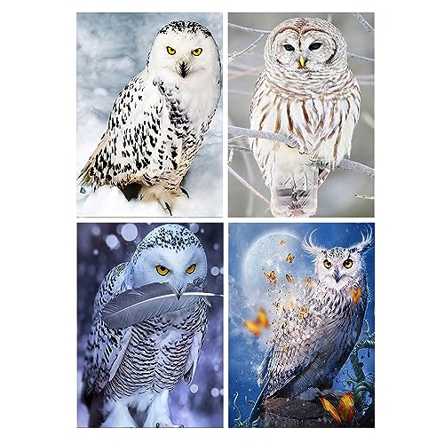 SHEGZHUC Diamond Painting Schneeeule 4 Pack 30x40 cm Diamond Painting Eulen Schnee Malen nach Zahlen Eule Diamond Painting Eulen Bilder Neu Malen nach Zahlen Erwachsene Schneeeule Perlen Bilder Eule SHEGZHUC Diamond Painting Schneeeule 4 Pack 30x40 cm Diamond Painting Eulen Schnee Malen nach Zahlen Eule Diamond Painting Eulen Bilder Neu Malen nach Zahlen Erwachsene Schneeeule Perlen Bilder Eule von SHEGZHUC