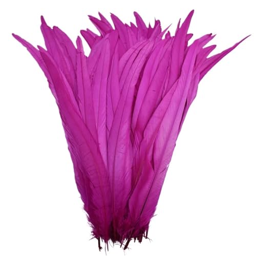 Federn zum Basteln, farbige Federn, Bastelarbeiten, 25,4 - 30,5 cm, Federn, Karneval, Kopfbedeckung, Kostüm, Akzente, festliche Party-Dekoration, Farbe 6, 100 Stück Federn zum Basteln, farbige Federn, Bastelarbeiten, 25,4 - 30,5 cm, Federn, Karneval, Kopfbedeckung, Kostüm, Akzente, festliche Party-Dekoration, Farbe 6, 100 Stück von SHENJMAI