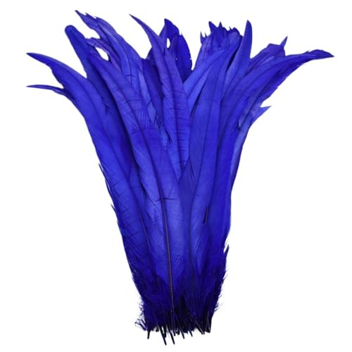 Federn zum Basteln, farbige Federn, Bastelarbeiten, 25,4 - 30,5 cm, Federn, Karneval, Kopfbedeckung, Kostüm-Akzente, festliche Party-Dekoration, Farbe 2, 100 Stück Federn zum Basteln, farbige Federn, Bastelarbeiten, 25,4 - 30,5 cm, Federn, Karneval, Kopfbedeckung, Kostüm-Akzente, festliche Party-Dekoration, Farbe 2, 100 Stück von SHENJMAI