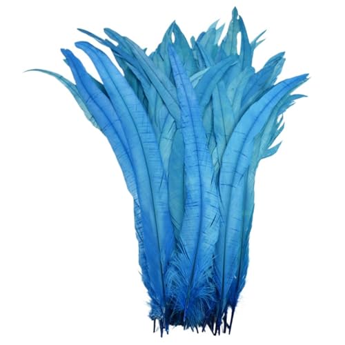 Federn zum Basteln, farbige Federn, Bastelarbeiten, 25,4 - 30,5 cm, Federn, Karneval, Kopfbedeckung, Kostüm-Akzente, festliche Party-Dekoration, Farbe 3, 100 Stück Federn zum Basteln, farbige Federn, Bastelarbeiten, 25,4 - 30,5 cm, Federn, Karneval, Kopfbedeckung, Kostüm-Akzente, festliche Party-Dekoration, Farbe 3, 100 Stück von SHENJMAI
