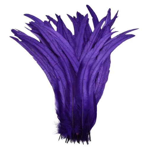 Federn zum Basteln, farbige Federn, Bastelarbeiten, 25,4 - 30,5 cm, Federn, Karneval, Kopfbedeckung, Kostüm-Akzente, festliche Party-Dekoration, Farbe 4, 100 Stück Federn zum Basteln, farbige Federn, Bastelarbeiten, 25,4 - 30,5 cm, Federn, Karneval, Kopfbedeckung, Kostüm-Akzente, festliche Party-Dekoration, Farbe 4, 100 Stück von SHENJMAI