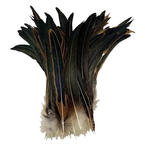 Federn zum Basteln, farbige Federn, Bastelarbeiten, 25,4 - 30,5 cm, Federn, Karneval, Kopfbedeckung, Kostüm-Akzente, festliche Party-Dekoration, Farbe 5, 100 Stück Federn zum Basteln, farbige Federn, Bastelarbeiten, 25,4 - 30,5 cm, Federn, Karneval, Kopfbedeckung, Kostüm-Akzente, festliche Party-Dekoration, Farbe 5, 100 Stück von SHENJMAI