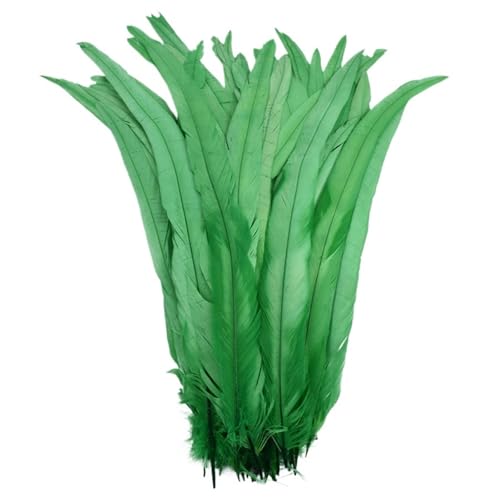 Federn zum Basteln, farbige Federn, Bastelarbeiten, 25,4 - 30,5 cm, Federn, Karneval, Kopfbedeckung, Kostüm-Akzente, festliche Party-Dekoration, Farbe 7, 100 Stück Federn zum Basteln, farbige Federn, Bastelarbeiten, 25,4 - 30,5 cm, Federn, Karneval, Kopfbedeckung, Kostüm-Akzente, festliche Party-Dekoration, Farbe 7, 100 Stück von SHENJMAI