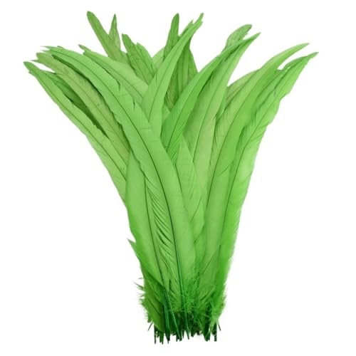 Federn zum Basteln, farbige Federn, Bastelarbeiten, 25,4 - 30,5 cm, Federn, Karneval, Kopfbedeckung, Kostüm-Akzente, festliche Party-Dekoration, Farbe 8, 100 Stück Federn zum Basteln, farbige Federn, Bastelarbeiten, 25,4 - 30,5 cm, Federn, Karneval, Kopfbedeckung, Kostüm-Akzente, festliche Party-Dekoration, Farbe 8, 100 Stück von SHENJMAI