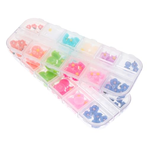 SHERCHPRY 2 Boxen Daisy Nail Charms Set Blumen Nageldekoration Diy Nail Art Zubehör Bunte Resin Maniküre Anhänger für Mädchen und SHERCHPRY 2 Boxen Daisy Nail Charms Set Blumen Nageldekoration Diy Nail Art Zubehör Bunte Resin Maniküre Anhänger für Mädchen und von SHERCHPRY
