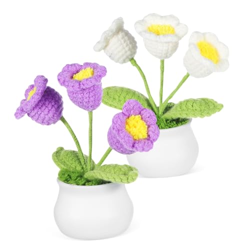 SHERCHPRY 2 Stück Maiglöckchen-Blumenornamente Dekoration Desktop - Blumen häkeln gestrickt Häkelblume Mini-Blumenstrauß Häkelhandwerk Strickblume Wohnkultur Garn SHERCHPRY 2 Stück Maiglöckchen-Blumenornamente Dekoration Desktop - Blumen häkeln gestrickt Häkelblume Mini-Blumenstrauß Häkelhandwerk Strickblume Wohnkultur Garn von SHERCHPRY
