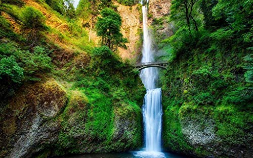 SHILIHOME Natürliche Landschaft in Oregon, USA, Malen nach Zahlen, zum Selbermachen, einzigartig SHILIHOME Natürliche Landschaft in Oregon, USA, Malen nach Zahlen, zum Selbermachen, einzigartig von SHILIHOME