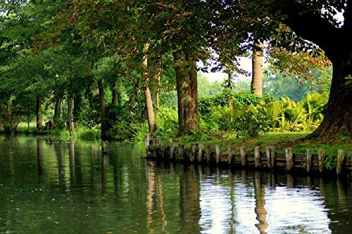 SHILIHOME Schöne Landschaft im Spreewald County Deutschland Malen nach Zahlen DIY einzigartig von SHILIHOME