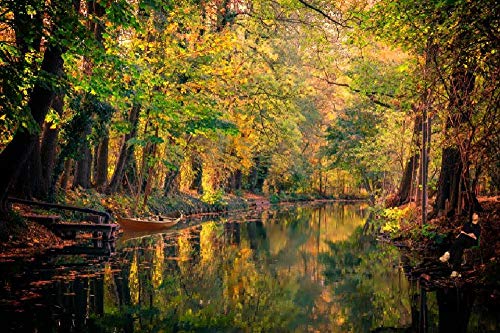 SHILIHOME Schöne Landschaft im Spreewald County Deutschland Malen nach Zahlen DIY einzigartig SHILIHOME Schöne Landschaft im Spreewald County Deutschland Malen nach Zahlen DIY einzigartig von SHILIHOME